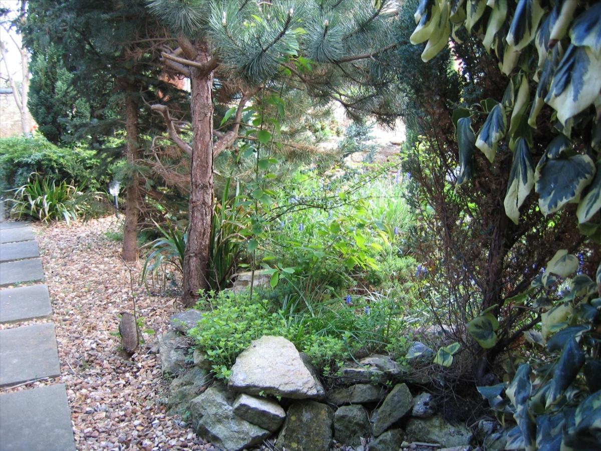 Bed & Breakfast Middle Farm *